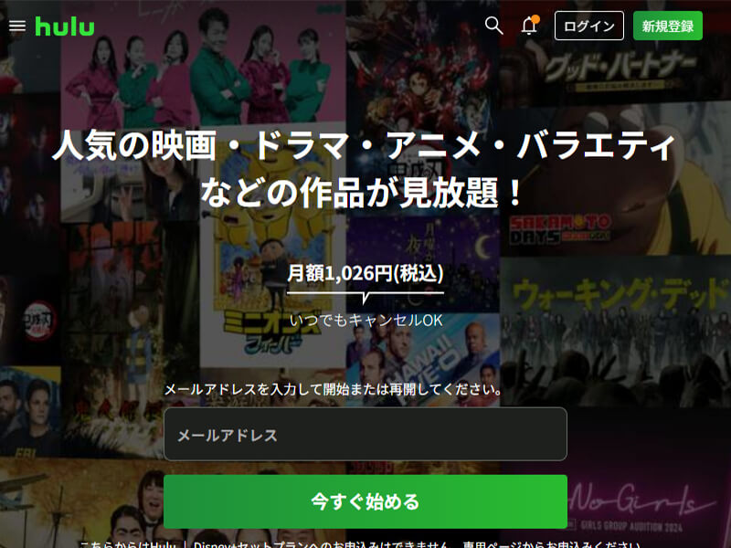 Huluのサービス概要